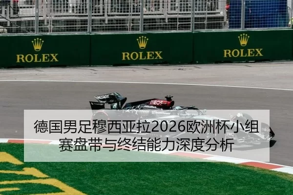 de-guo-nan-zu-mu-xi-ya-la-ou-zhou-bei-xiao-zu-sai-pan-dai-yu-zhong-jie-neng-li-shen-du-fen-xi-2-475.jpg